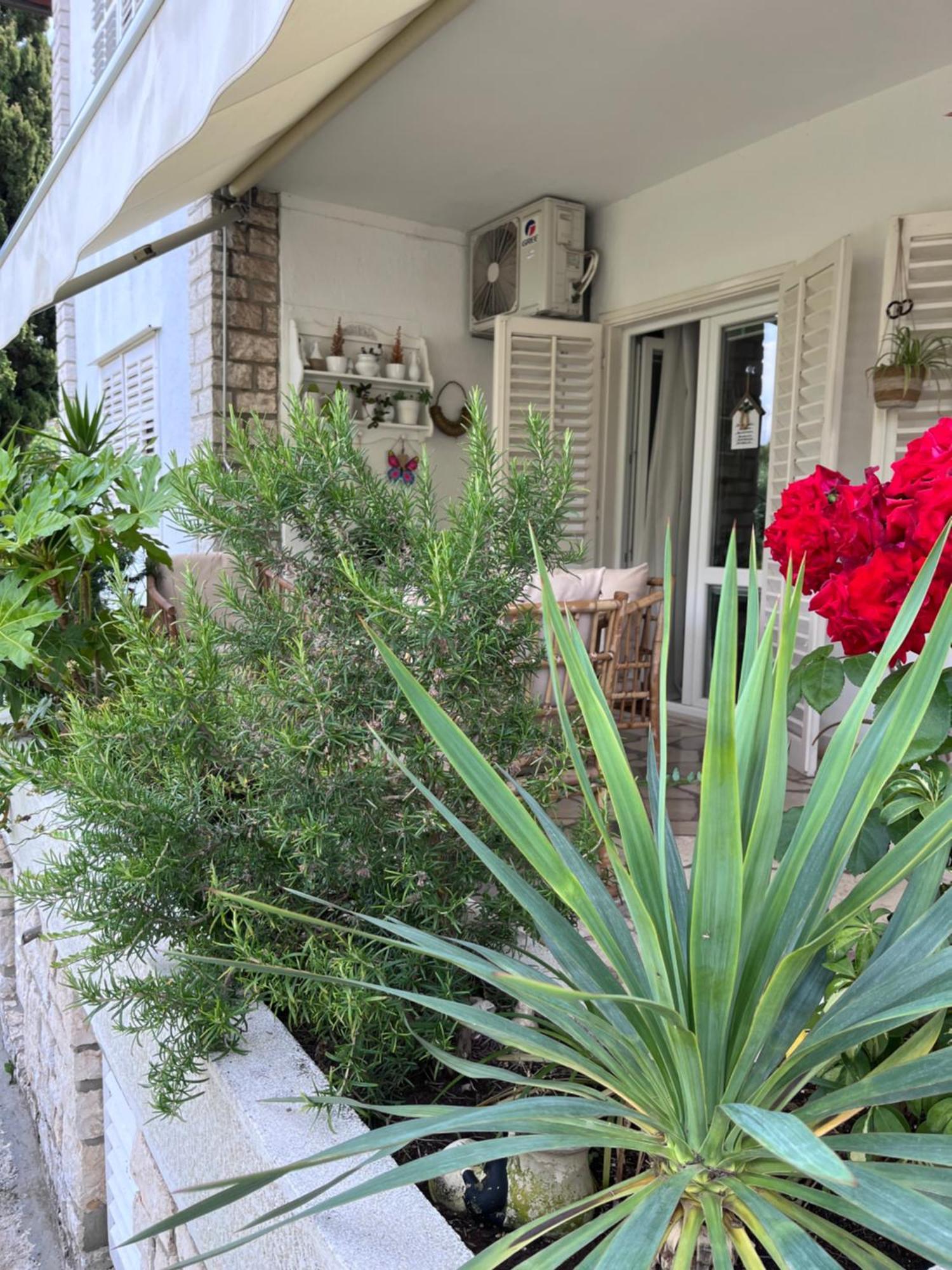 House Of Rosalia Apartamento Rovinj Exterior foto